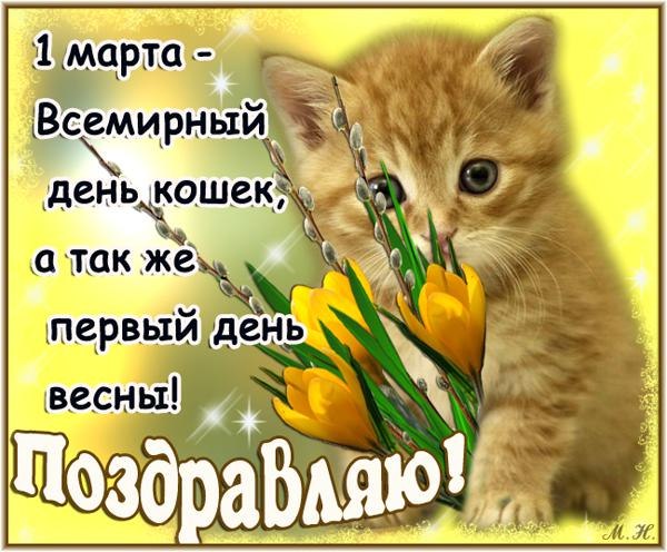 Котейки - Пример