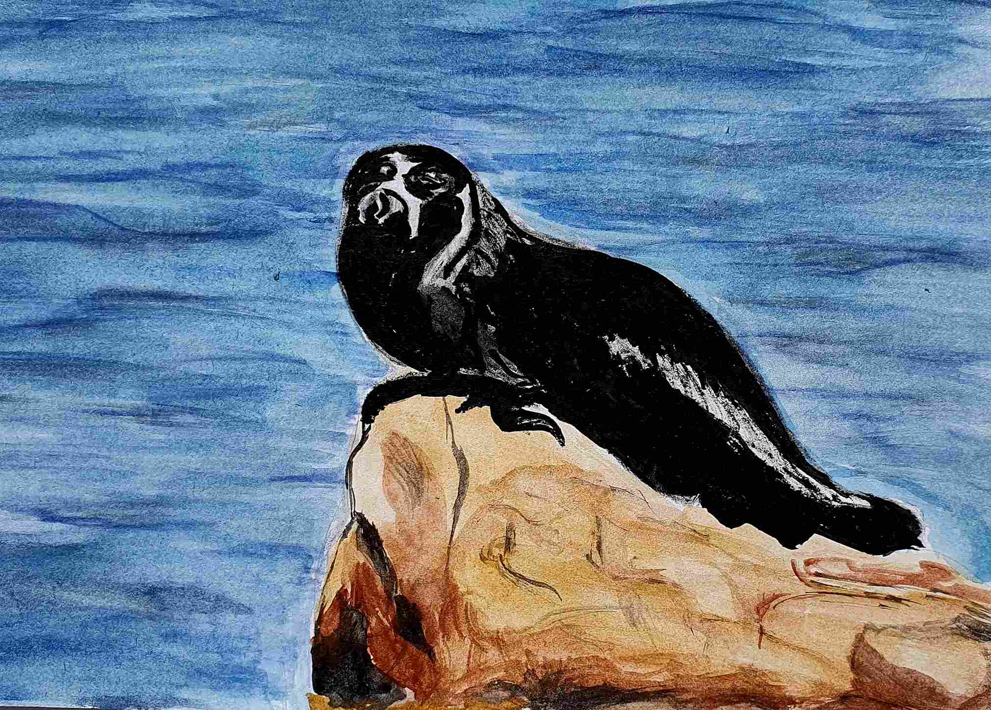 Нерпа байкальская