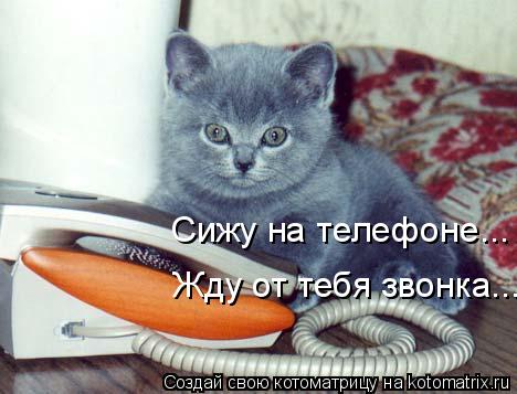 Звони картинки прикольные