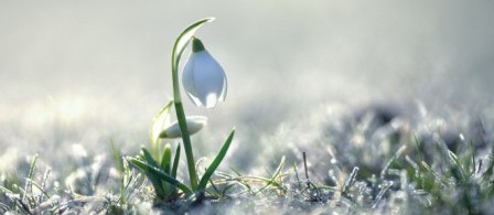 Весна и кровь на ваших аксельбантах...