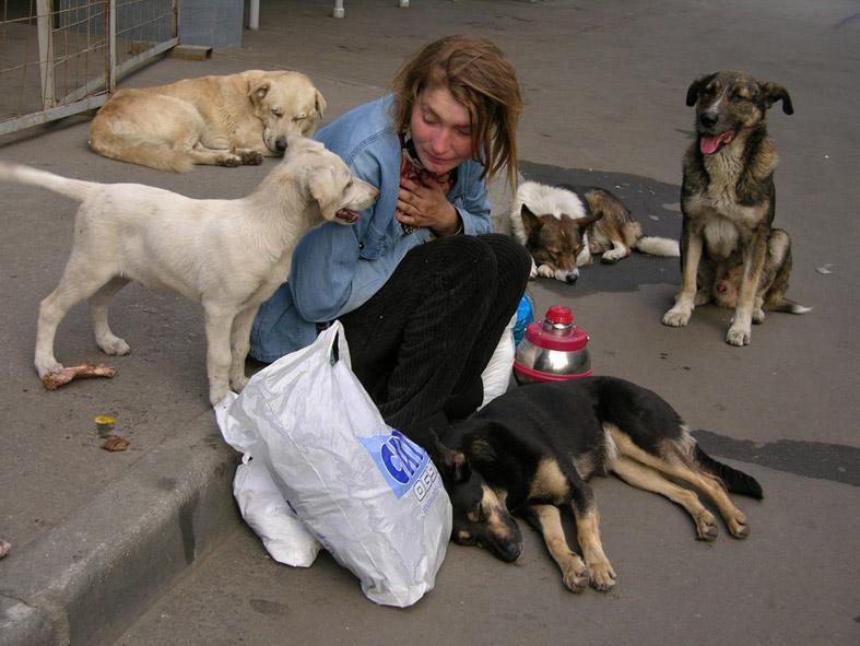 Время быстрою птицей летит...