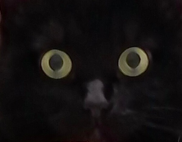 Не может он!