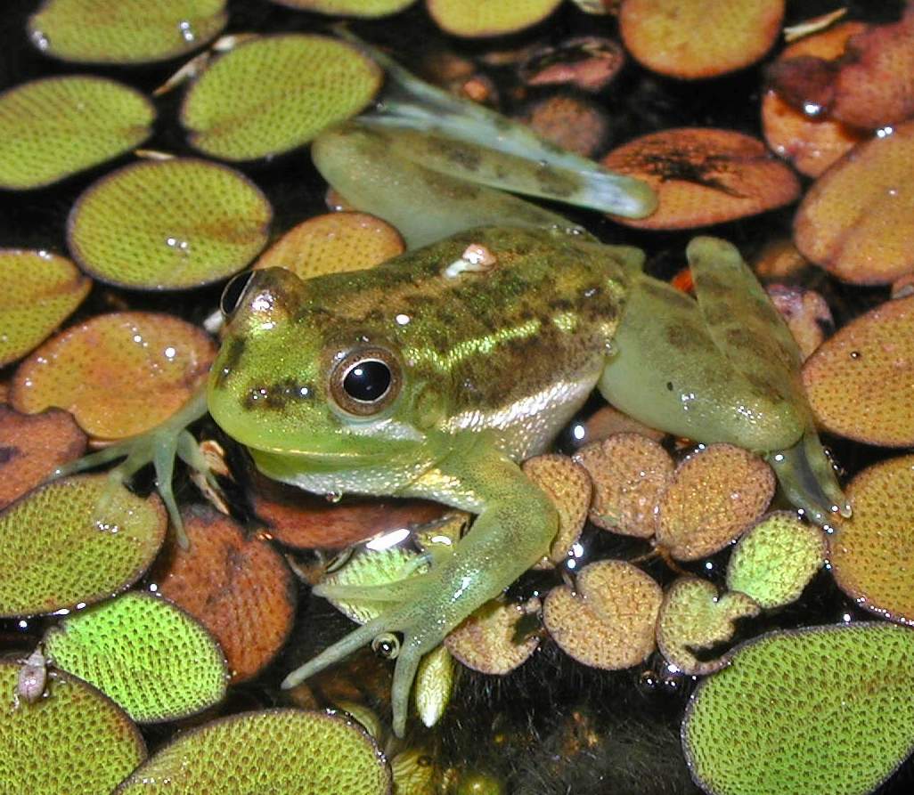 Миры и учителя часть 58