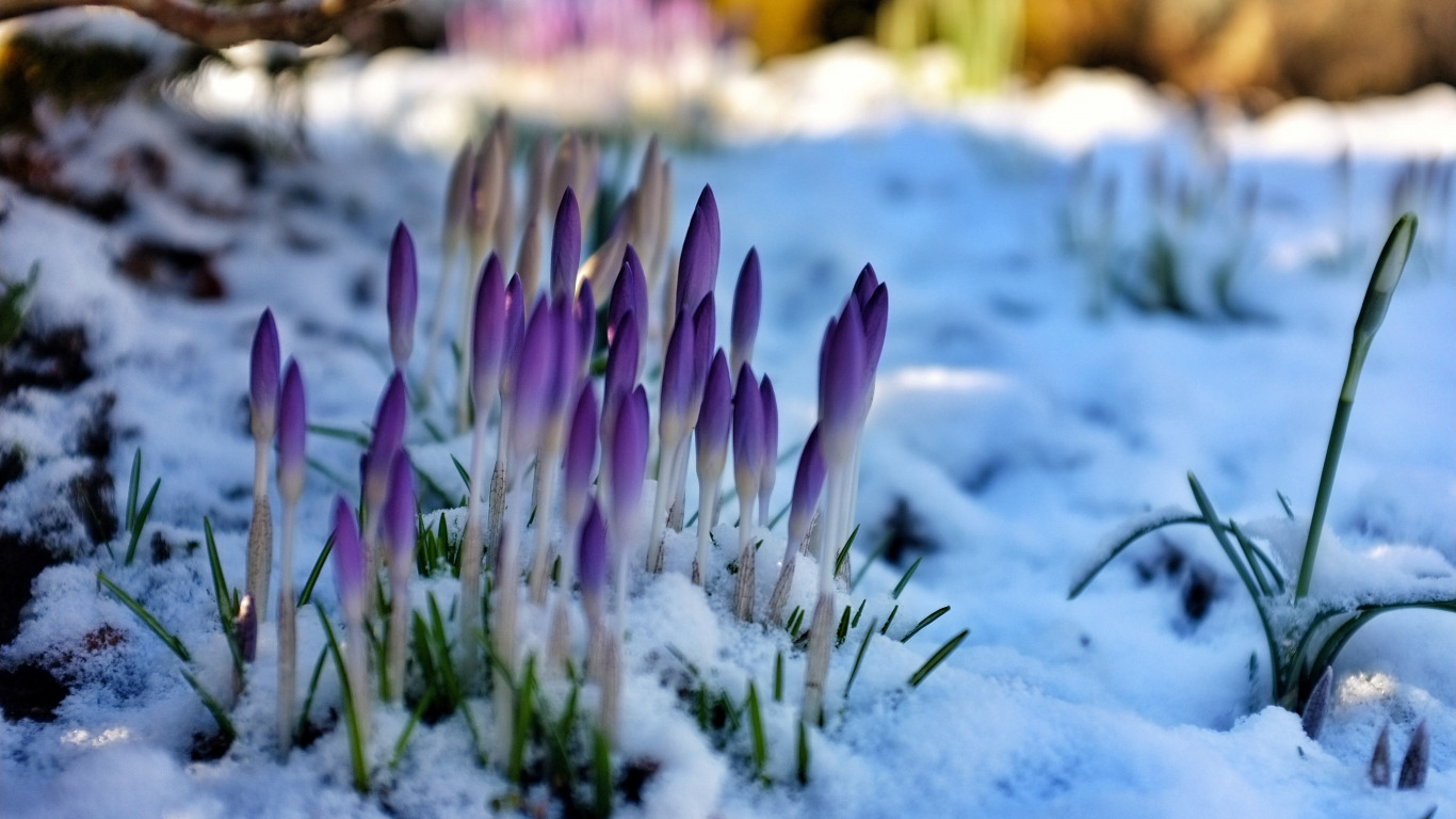Пригрело душу мартовское солнце (Анатолий Сутугин 1) / Стихи.ру