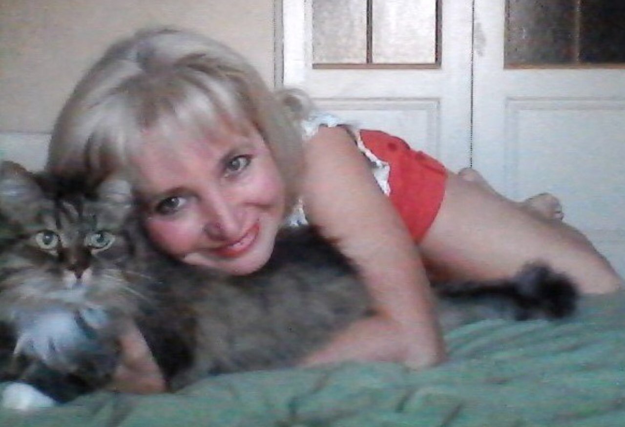 Гладишь серого кота. Посвящение С. Т. 14213