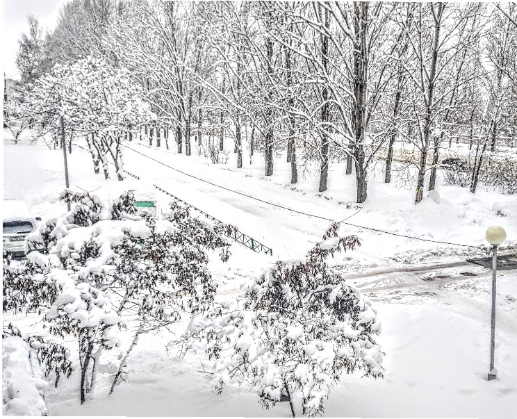 А у нас опять зима