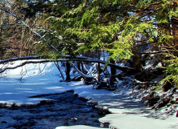 Солнце яркое пригрело