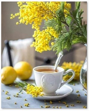 С весенними надеждами!