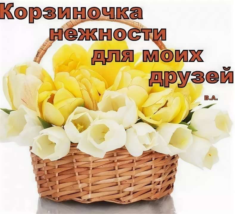 3 февраля международный