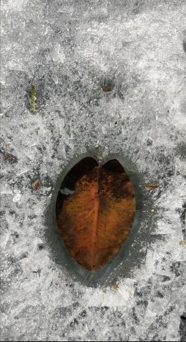 Солнца в ладошку