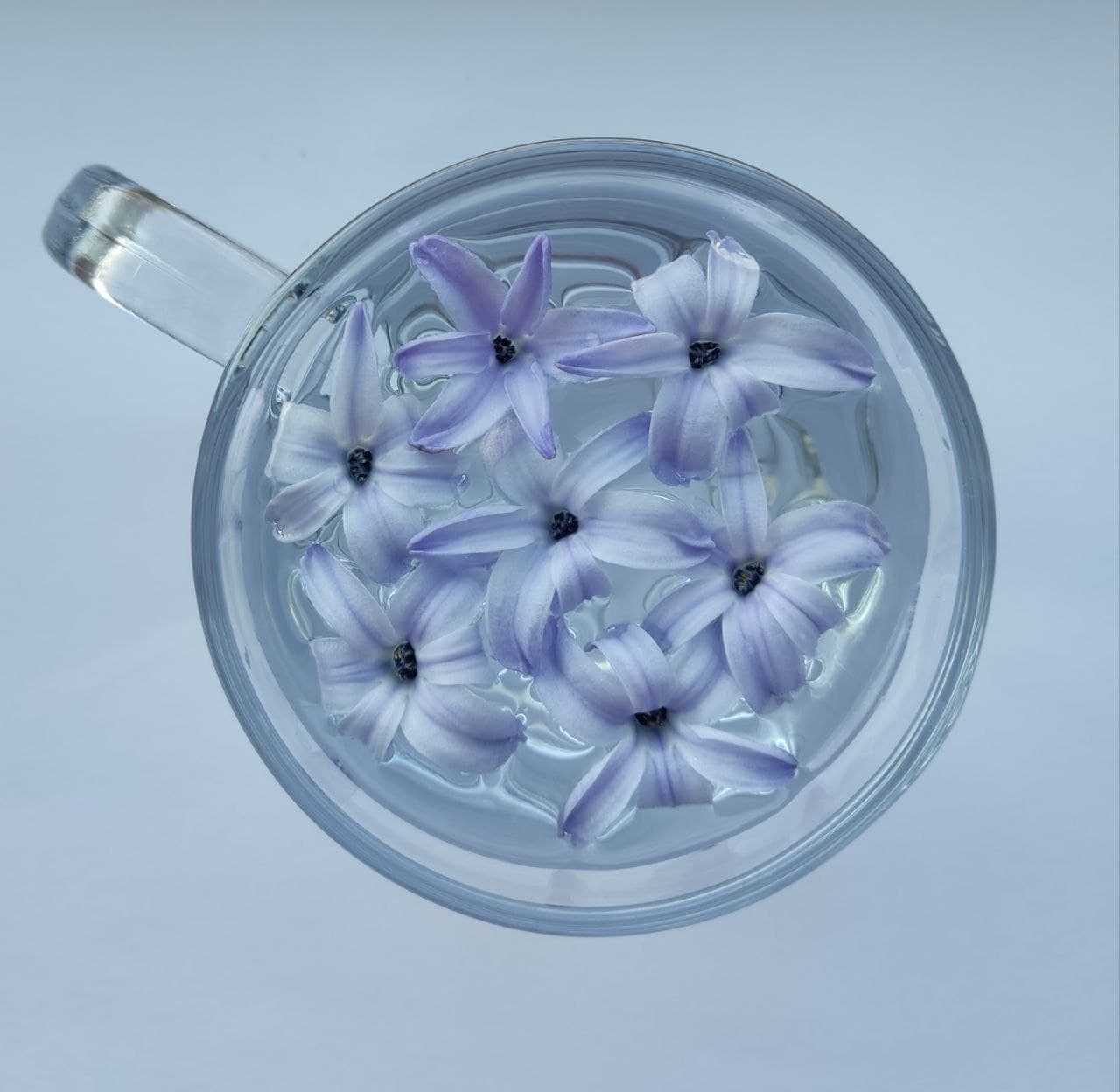 Мне вместо кофе дайте чашечку весны