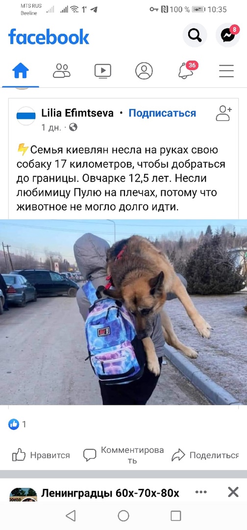 Не бросайте животных. О. люди!