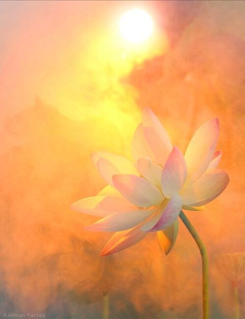 Не отказывайтесь от любви - alexis karpouzos