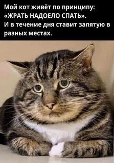 Улыбнись. Не жизнь стала - маета!..