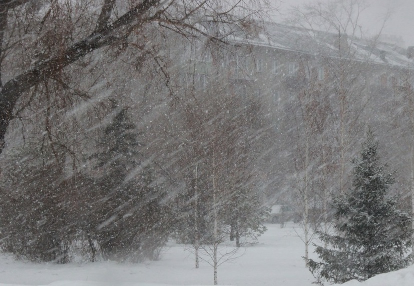 БунтарИт зима