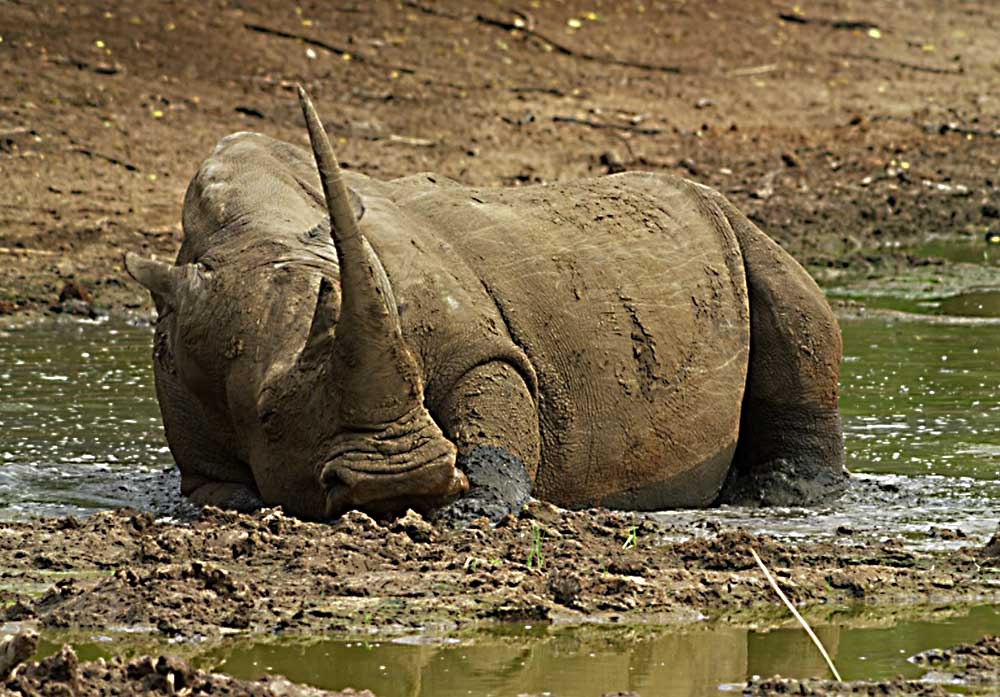 Подустали ноги...