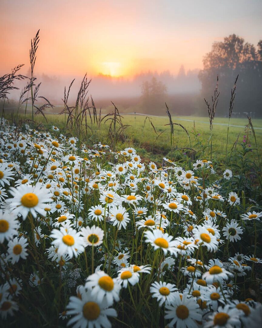 Семейный батальон