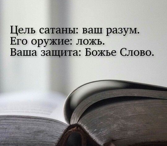 Система пожинает плод