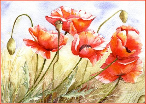 Правда и ложь