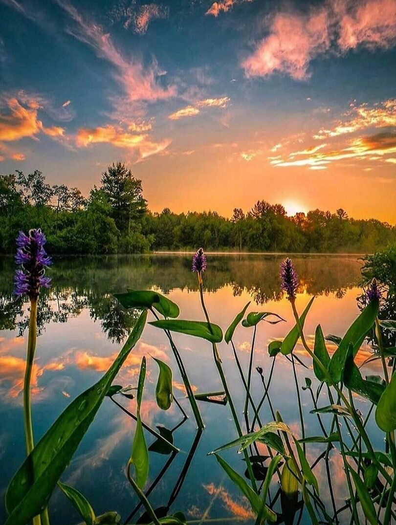 Прощается день