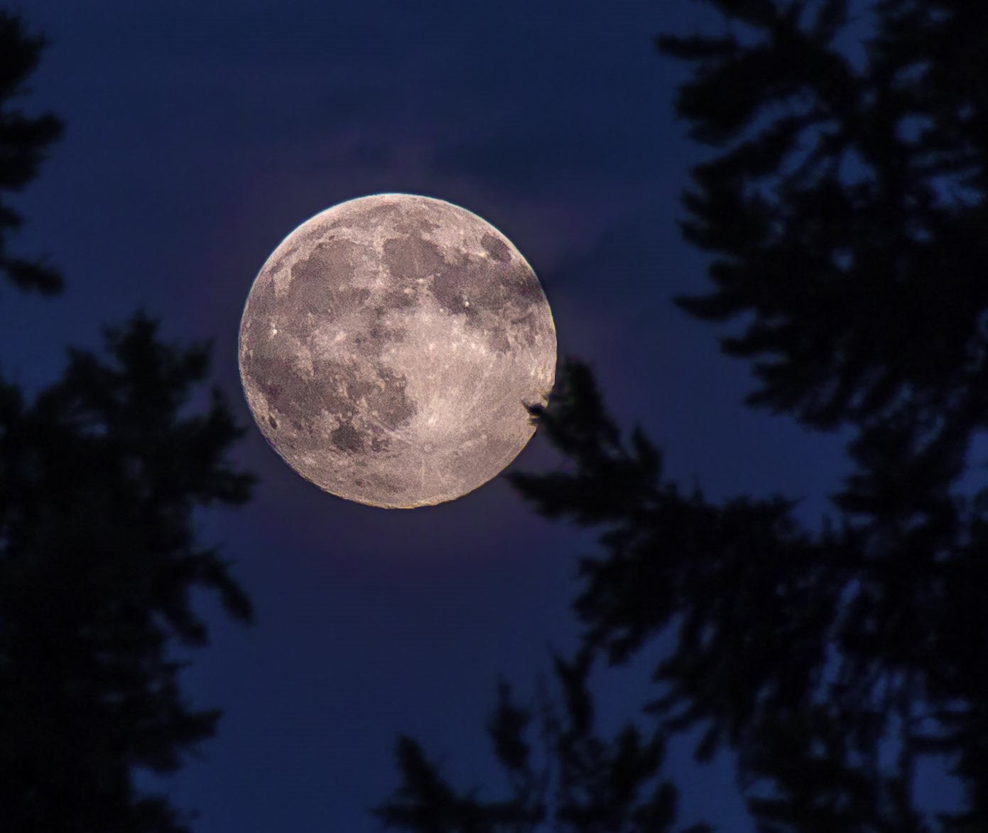 Top Nasa scientist wants the Moon turned into a PLANET Moon, Moon facts, Full mo