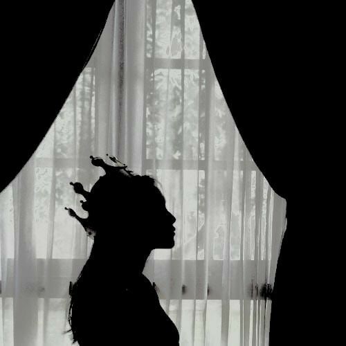 Шуршат усталые заботы...