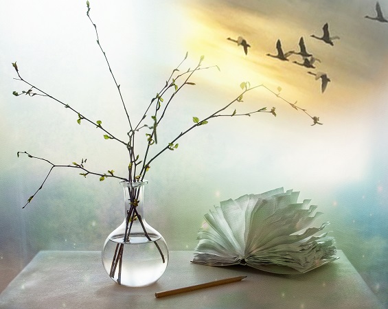 Возвращайтесь!