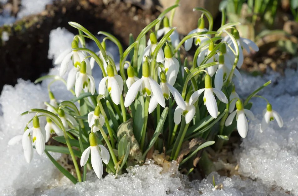 Повод для оптимизма