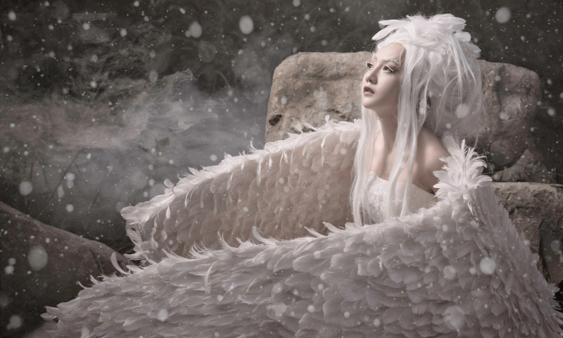 Зима прилетела небесною птицей