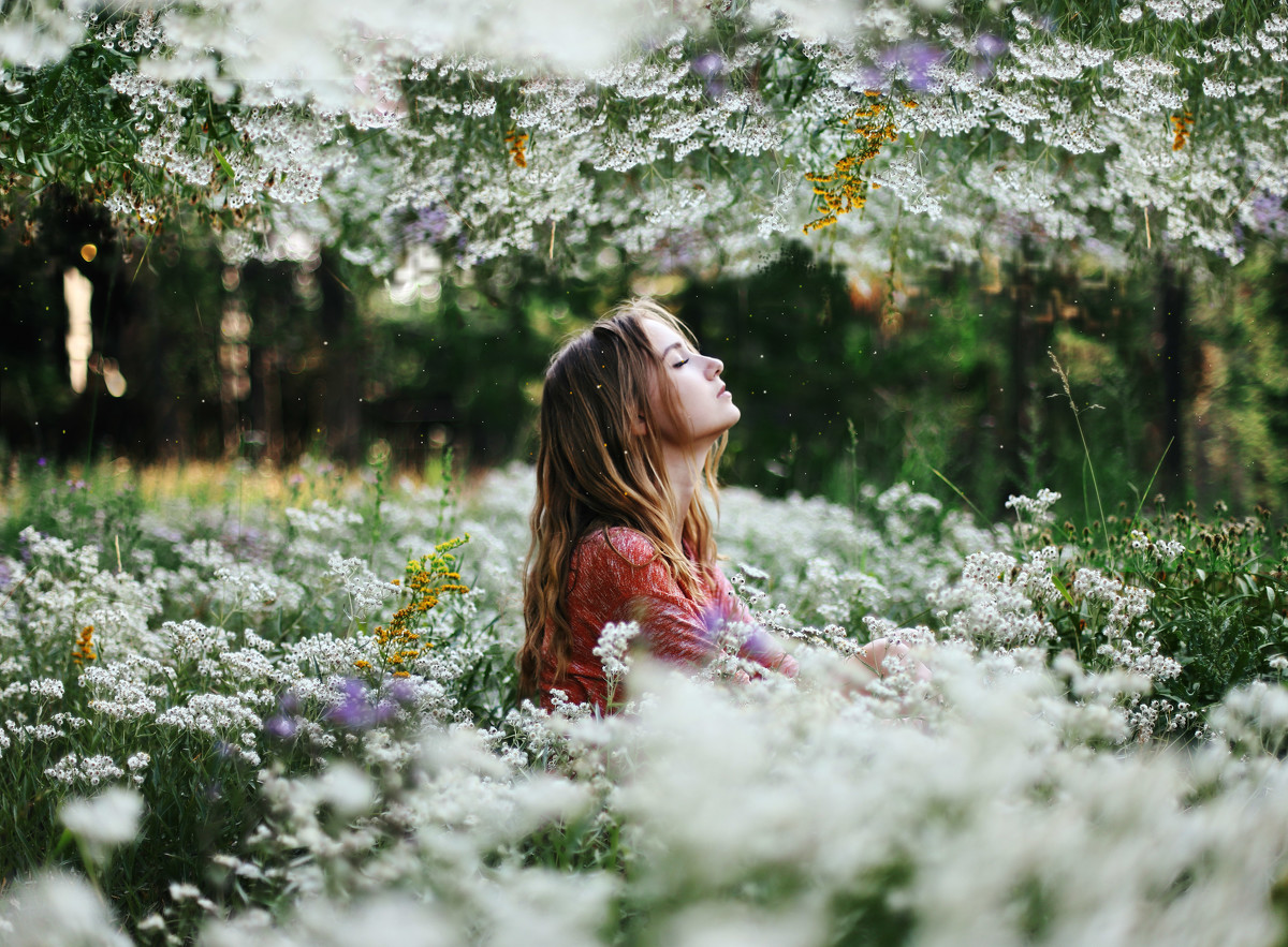 Я возвращусь на землю тихим утром