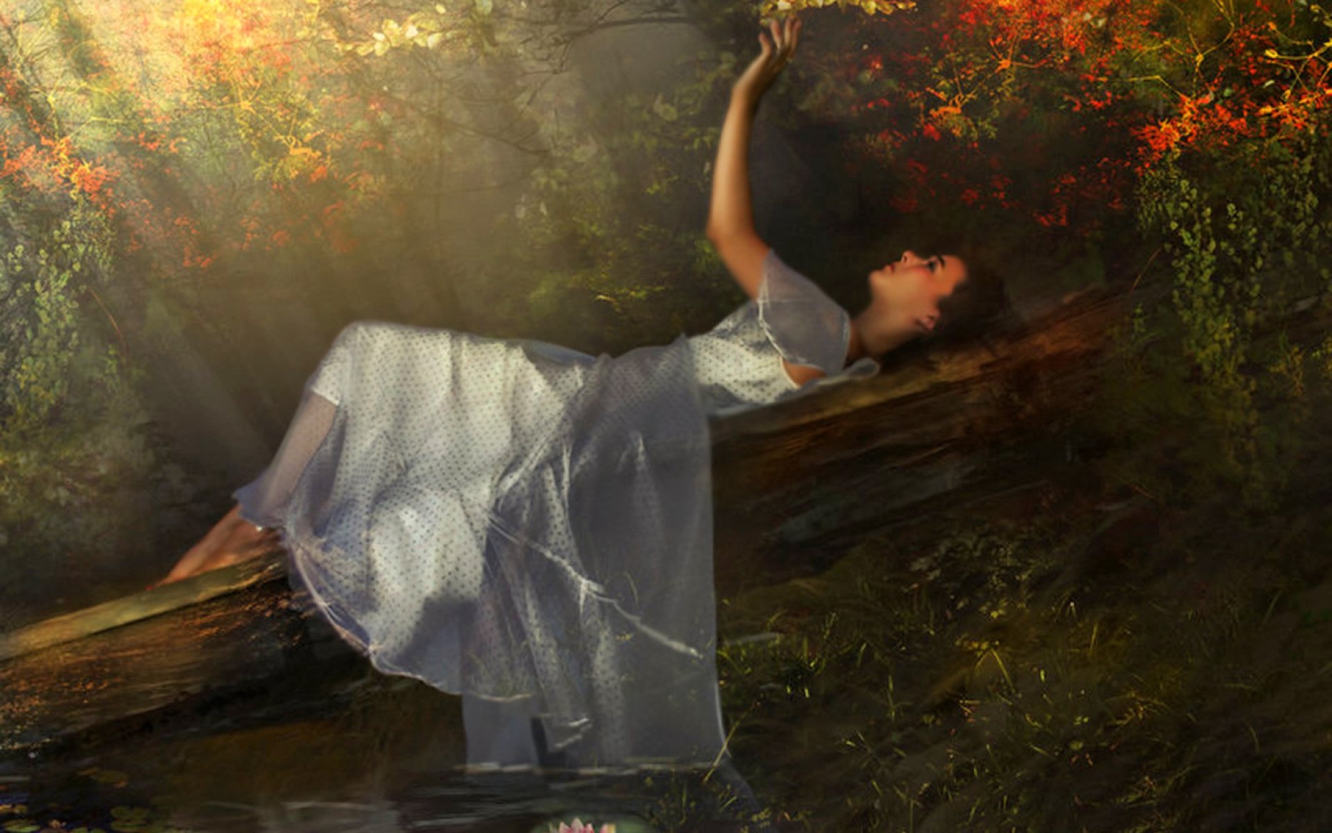 Противоречие жизни