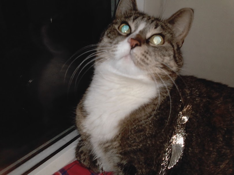 Крылья одела и села со мной