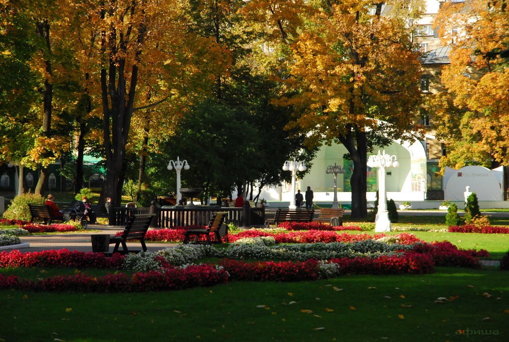 Не с кем мне теперь гулять до Эрмитажа