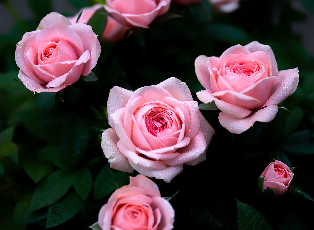 Так нечаянно все это получилось