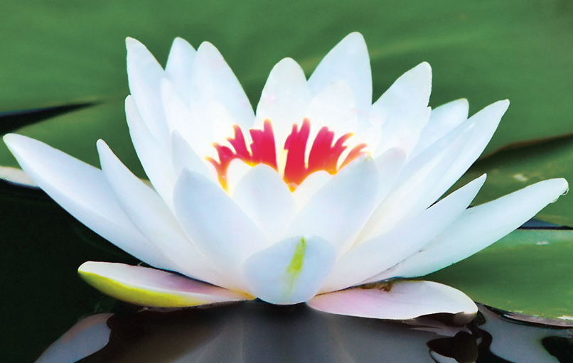 Провиденье говорит