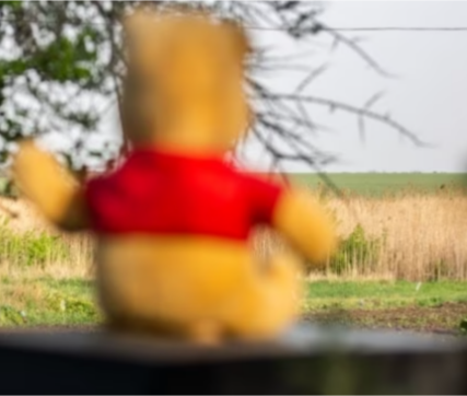 Кошмарные реальности войны