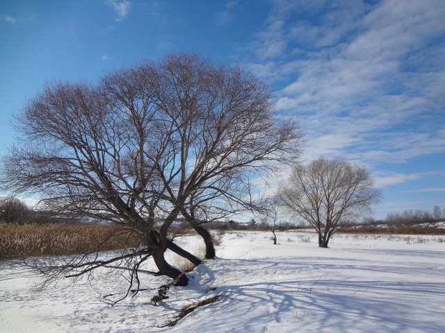 Жаль, что мы не были братьями