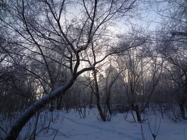 Город разрушен в садах пустоцвет