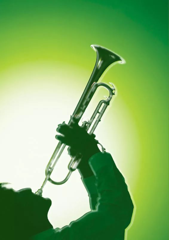 Перед атакой