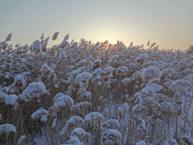 Мы видим декорации старого мира