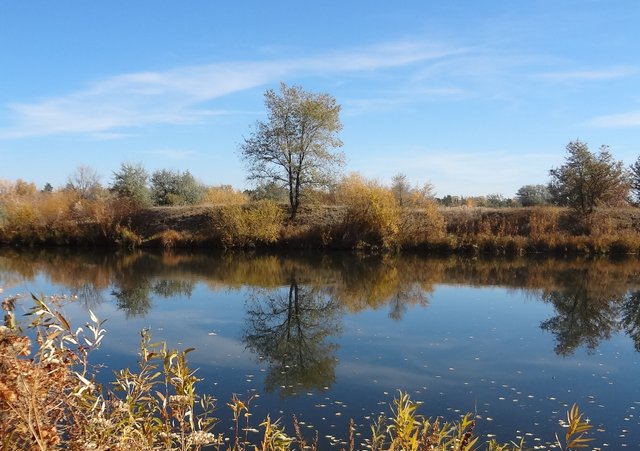 Восприятия жизни для нас исчезают