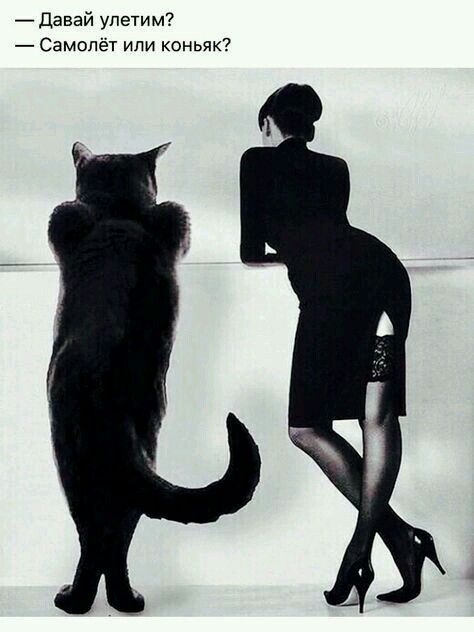 ПонаУеХавшим...