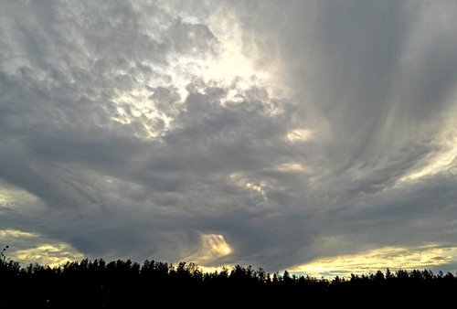 Северный ветер меня остудил