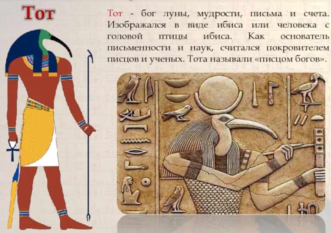 Тет ра. Бог Египта с головой птицы Ибис. Тот Бог мудрости в древнем Египте. Египетский Бог тот изображался. Древнеегипетский Бог мудрости Тота.