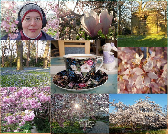 Во саду ли в огороде