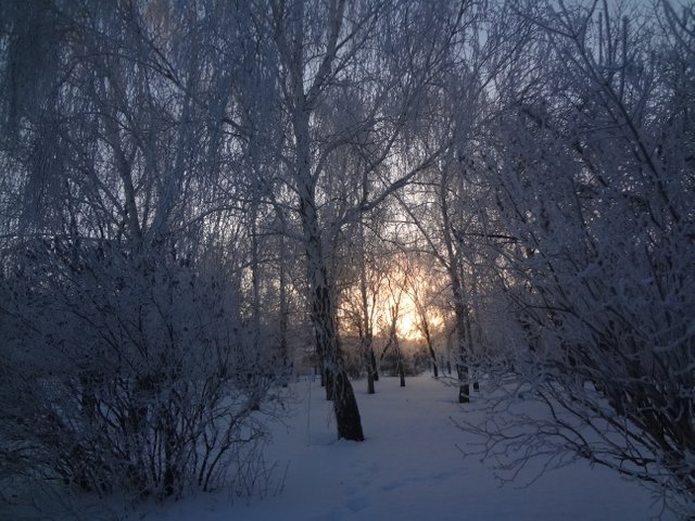 Какая связь времен и ужасы войны