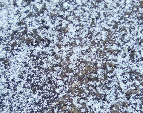 Повсюду белая позёмка