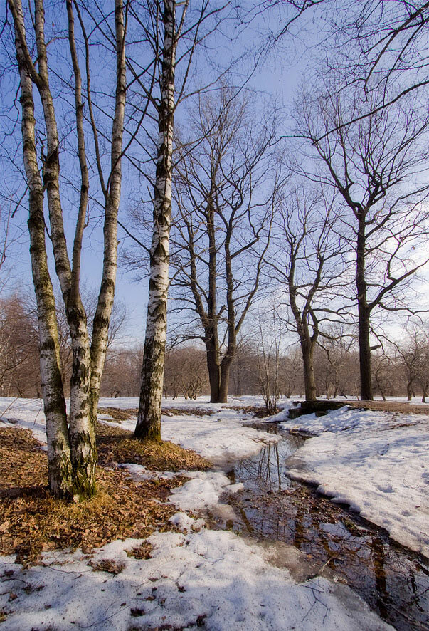 Фото Месяца Апрель