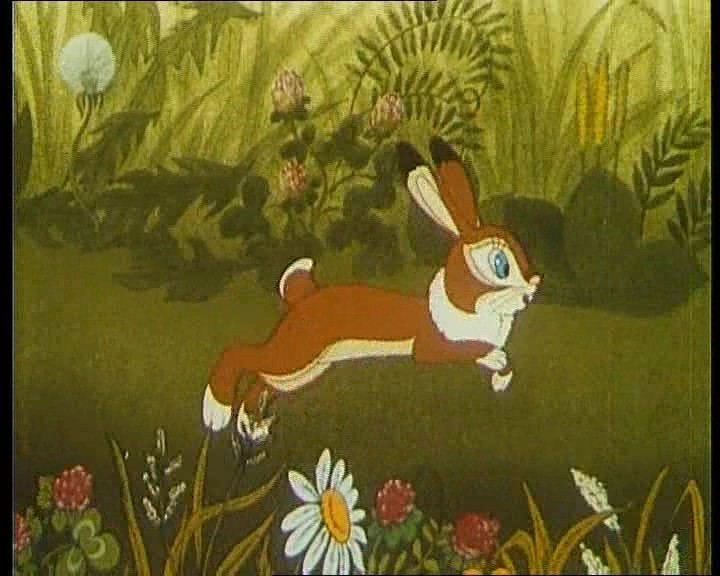 Зайчики дорожке траве и солнечные по бегут. Зайчик прыгает. Заяц в лесу мультяшный. Бегает зайчик по лесу.