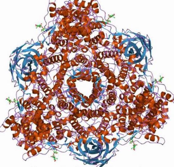 гаранту младшей сестры